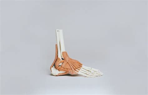 Common Podiatry Conditions - Thrive Chiropractic & Health Clinic