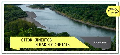Отток клиентов и как его считать | medoed1.ru