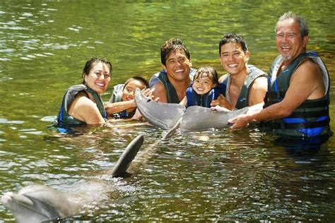 Dolphin Quest Oahu Archives - Hawaii Travel Guide