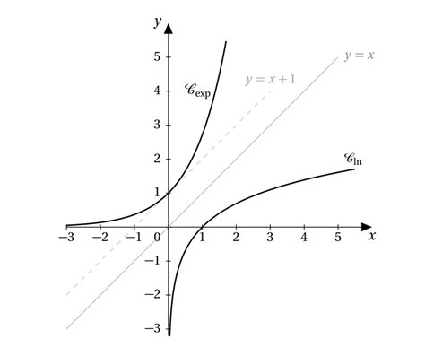 Etude D Une Fonction Exponentielle Les Sherpas