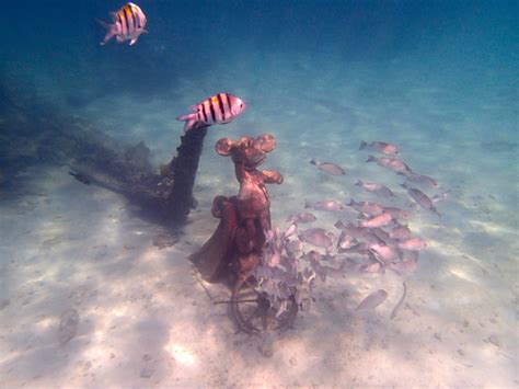 Snorkeling At Castaway Cay Disney Cruise Mom Blog