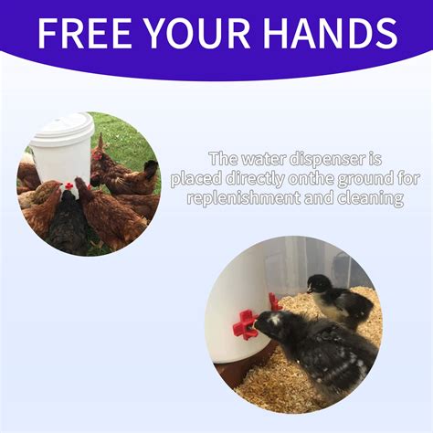 6pack Chicken Nipple Waterer Horizontal Automatic