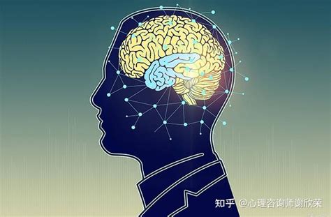 双相情感障碍如何影响大脑？对记忆力有何影响？ 知乎