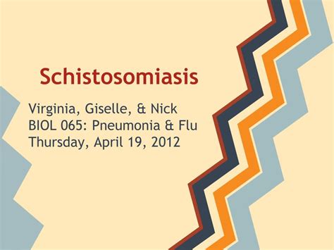 Ppt Schistosomiasis Powerpoint Presentation Free Download Id 2003004