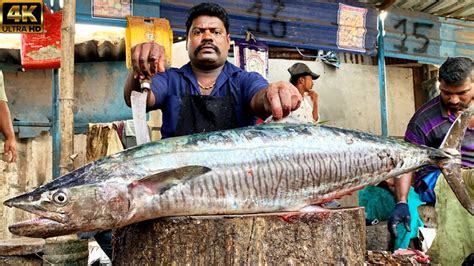 KASIMEDU SPEED SELVAM BIG SIZE LIVE KING SEER FISH CUTTING 4K