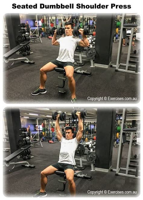 Seated Dumbbell Shoulder Press Is A Great Compound Exercise To Overload The Shoulders With