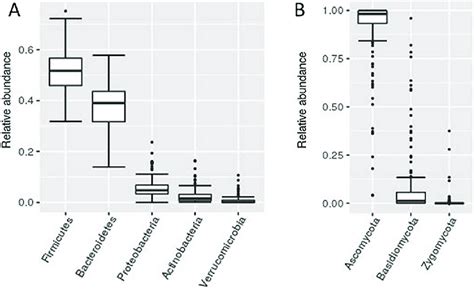 Bacterial And Fungal Phyla Relative Abundance A Box Plot Presentation Download Scientific