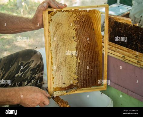 Le Garde Corps Coupe La Cire Du Cadre En Nid D Abeille Production De