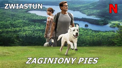 ZAGINIONY PIES 2023 Polski Zwiastun Lektor PL Film YouTube