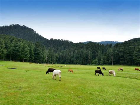 Breathtaking Hill Stations Of Himachal Pradesh To Visit For A Weekend