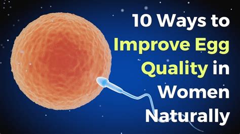 10 Ways To Improve Egg Quality In Women Naturally VisitJoy