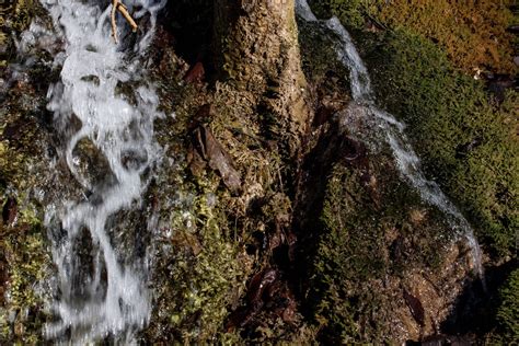 Images Gratuites arbre eau la nature Roche cascade région