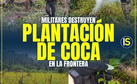 Sucumbíos ejército destruye plantación de coca Noti Amazonía