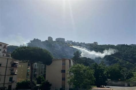 Incendio A Napoli Le Fiamme Ardono Sulla Collina Di Posillipo Vigili