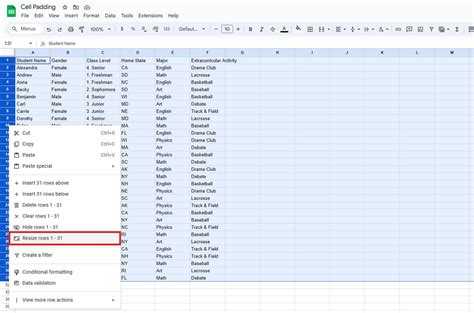 Easy Ways To Change Google Sheets Cell Padding Ssp