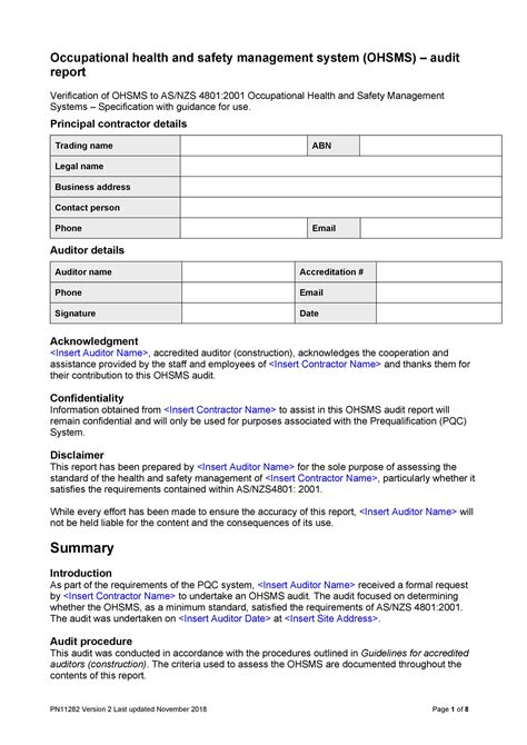 Sample Audit Report Template