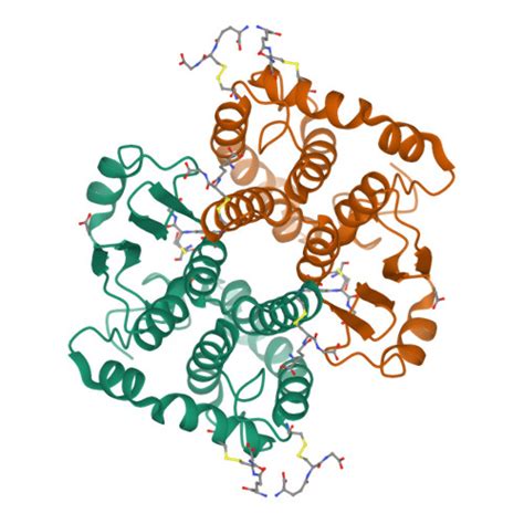 Rcsb Pdb 6ji6 Crystal Structure Of Glutathione S Transferase