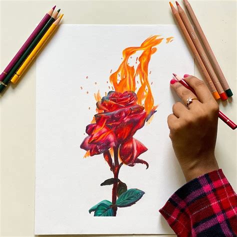 Flaming Rose Drawing With Color Pencils Drawings Artwork Free