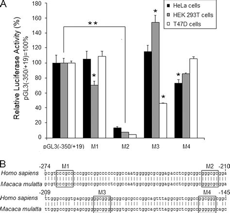 Human Glycolipid Transfer Protein Gene Gltp Expression Is Regulated