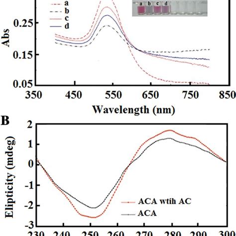 A Typical TEM Images Of GNPs B The UVvis Absorption Spectra Of GNPs