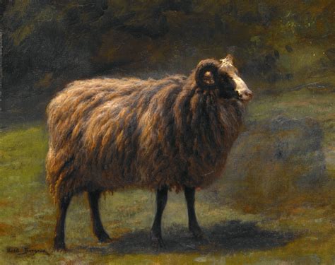 Sheep Ram Vintage Art Free Stock Photo - Public Domain Pictures