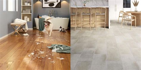 7 Pawsitively Stylish Pet-Friendly Design Tips For Your Home
