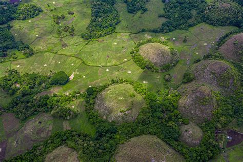 The Philippines' battle against deforestation: progress and challenges