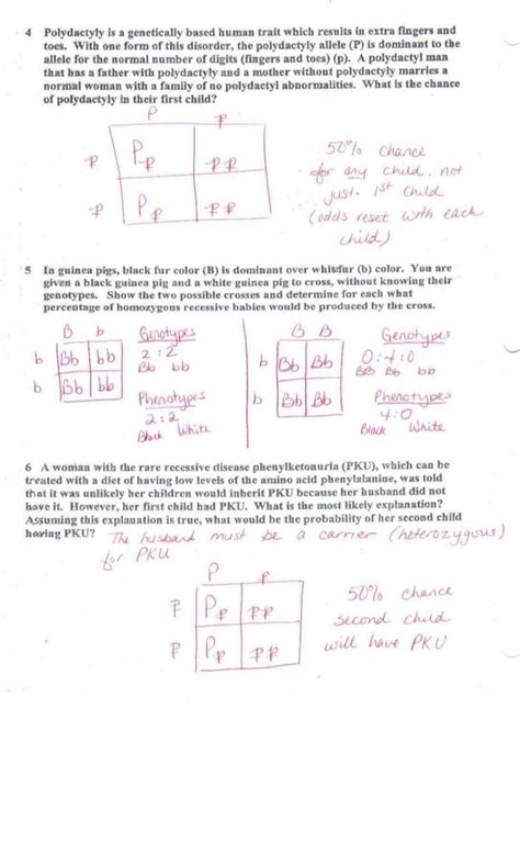 Pin On Simple Worksheet For Learning