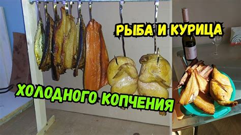 Классный рецепт рыбы для холодного копчения. Электростатика. - YouTube