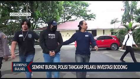 Sempat Buron Polisi Tangkap Pelaku Investasi Bodong Video Dailymotion