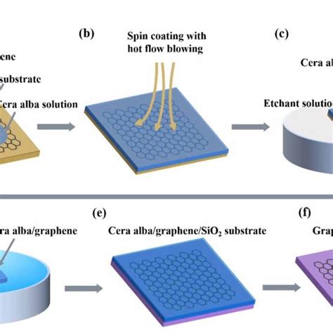 The Schematic Diagram Of Ca Assisted Ultraclean Graphene Transfer