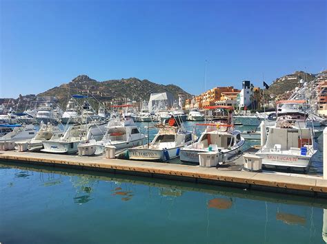 Deep Sea Fishing In Cabo Exotic Estates