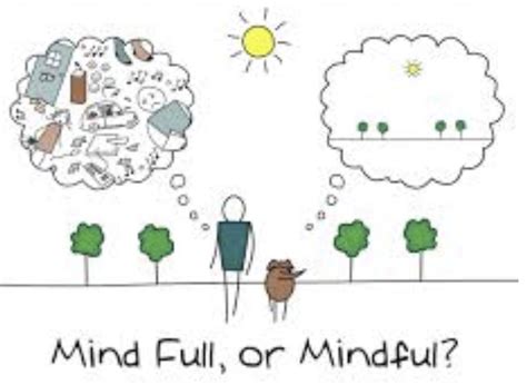 Mindfuldog Lenouvelabc