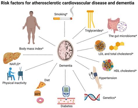 Ijms Free Full Text Shared Risk Factors Between Dementia And