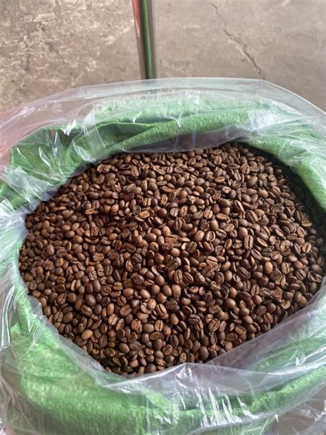 Arabicarobusta Coffee Bean From Vietnam Factory Wa 84 914737413