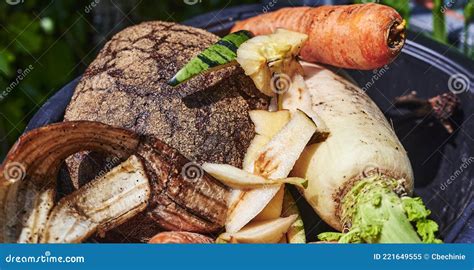 Bio Container With Various Organic Wastes For Recycling Stock Image