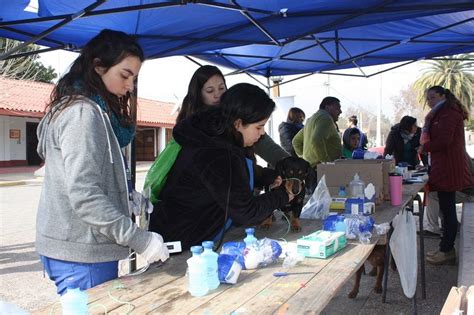 Destacada Labor De Estudiantes De UST Santiago En Trabajos Voluntarios