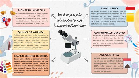 Ex Menes De Laboratorio Y Gabinetes Melendez Uribe Priscilla Natzely