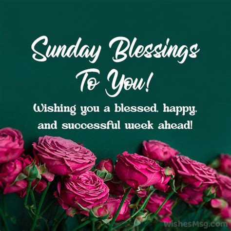 100 Happy Sunday Wishes Messages And Quotes Wishesmsg