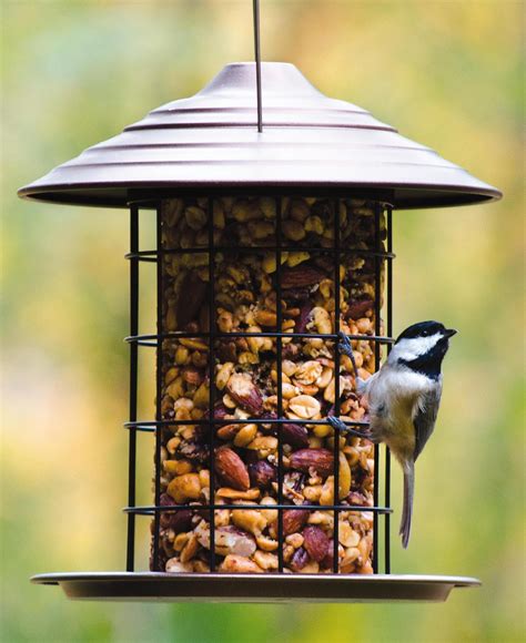 Wild Birds Unlimited Tidy Cylinder Feeder