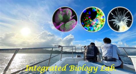 Laboratory Of Integrated Biology Dept Integrated Biosciences Grad