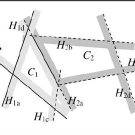 3 Regular polytope O defined as the union of convex polytopes C 1 and C ...