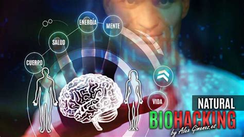 Natural Biohacking La Técnica Secreta De Los Emprendedores De éxito