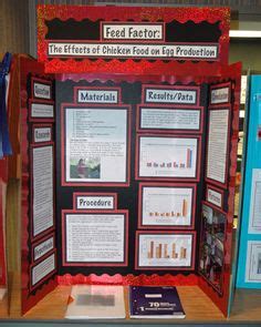 9 Best Science Fair Display Board ideas | science fair, science fair ...