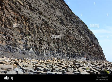 Oil Bearing Shale Cliff Face Of Jurassic Coast And Shoreline Strewn