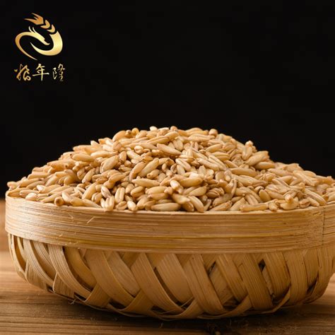 Best Quality Naked Oats Grain Pollution Free Restaurant Large Flake