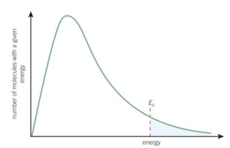 Rates Of Reaction C Flashcards Quizlet