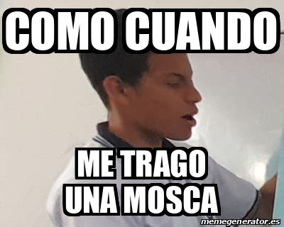 Meme Personalizado Como Cuando Me Trago Una Mosca