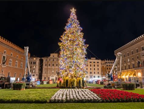 Accese Le Luci All Albero Di Natale In Piazza Venezia Roma Cityrumors It