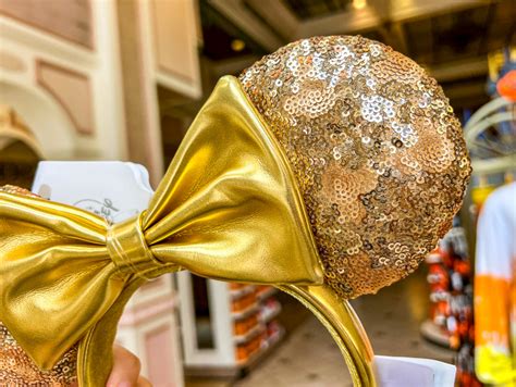 NEW Hidden Mickey Ears Arrive in Disney World! - MickeyBlog.com